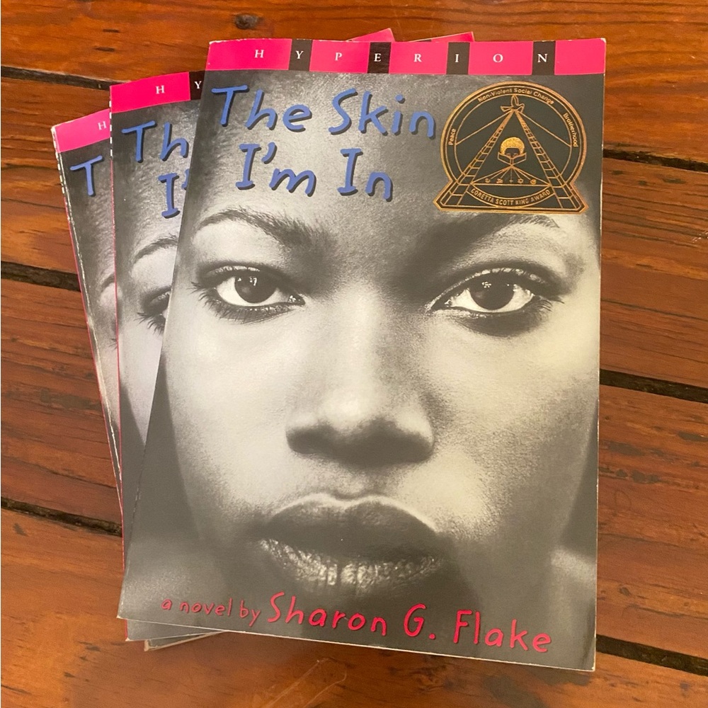 🧩 3/$20 The Skin I'm In by Sharon G Flake Children’s Literature x 3